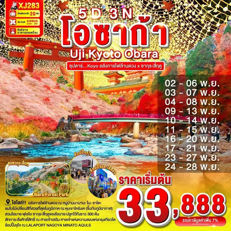 ทัวร์ญี่ปุ่น OSAKA UJI KYOTO OBARA 5 วัน 3 คืน ซุปตาร์...Kōyō อลังการไฟล้านดวง x ซากุระสี่ฤดู