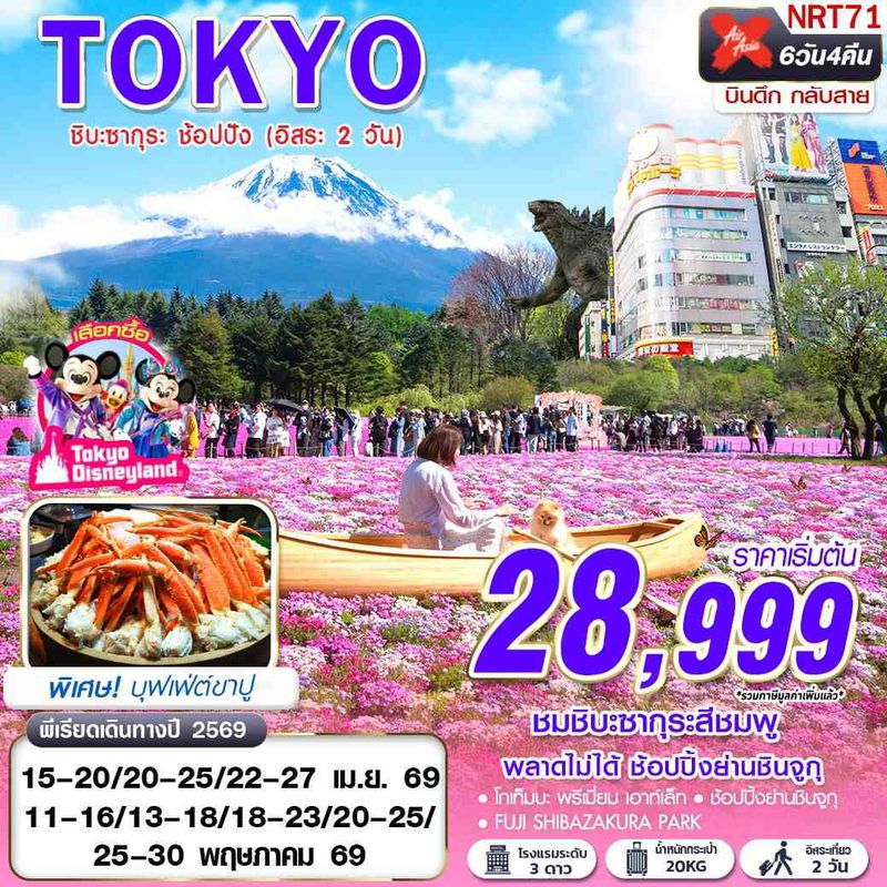 ทัวร์ญี่ปุ่น TOKYO ชิบะซากุระ ช้อปปัง (FREEDAY 2 วัน) บินดึกกลับสาย APR-MAY 6 วัน 4 คืน