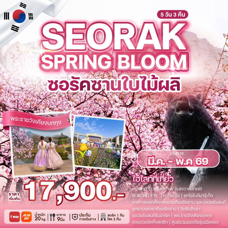 ทัวร์เกาหลี SEORAK SPRING BLOOM