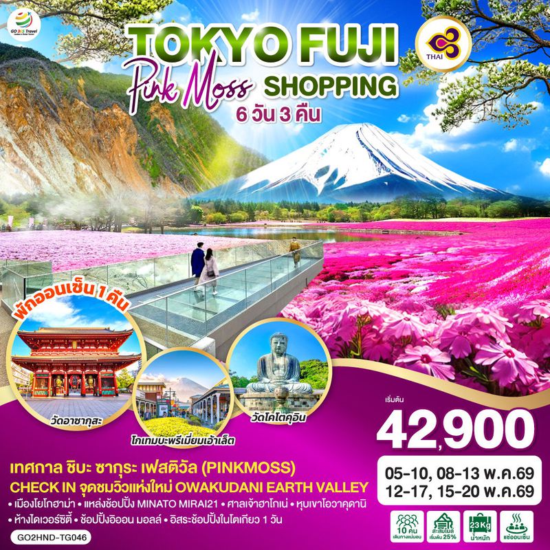 ทัวร์ญี่ปุ่น TOKYO FUJI PINKMOSS SHOPPING โตเกียว ฟูจิ พิ้งมอส ช้อปปิ้ง 6 วัน 3 คืน 