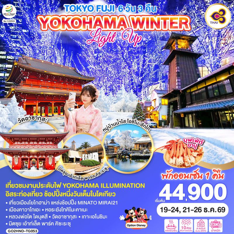 ทัวร์ญี่ปุ่น TOKYO FUJI YOKOHAMA WINTER LIGHT UP โตเกียว ฟูจิ โยโกฮาม่า งานประดับไฟ 6 วัน 3 คืน 