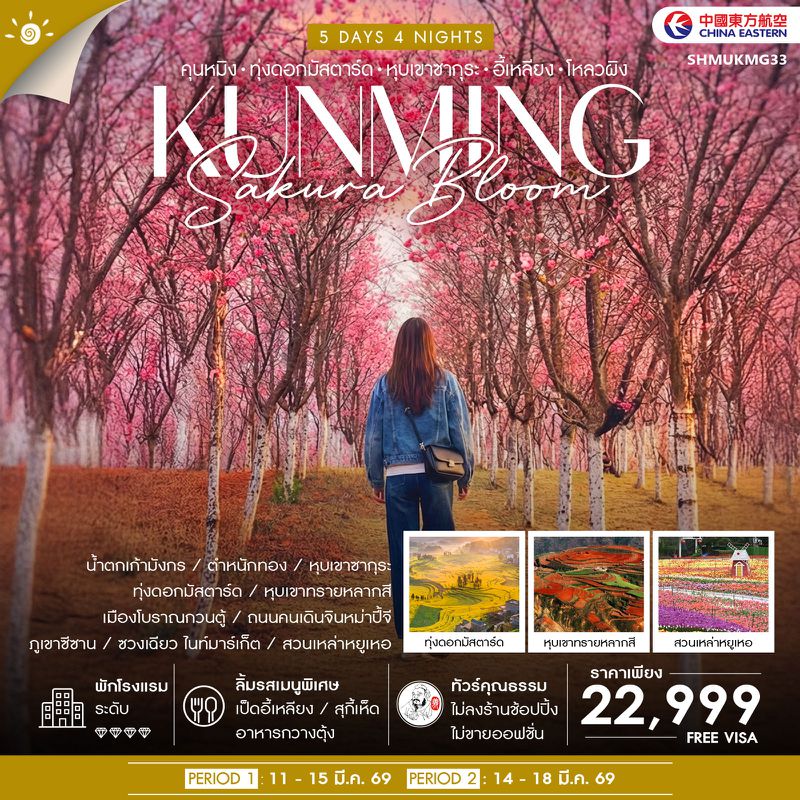 ทัวร์คุณธรรม Sakura & Mustard Bloom คุนหมิง หุบเขาซากุระ ทุ่งดอกมัสตาร์ด 5 วัน 4 คืน (MU)
